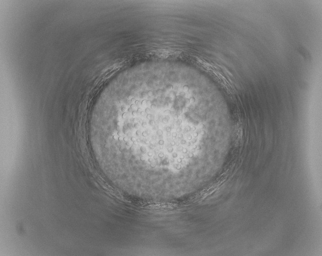 X0000115581105200912221043