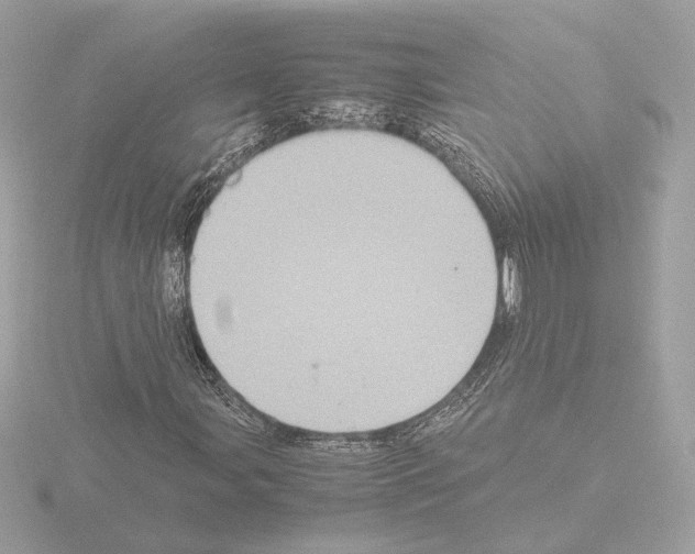 X0000115581107200912221043