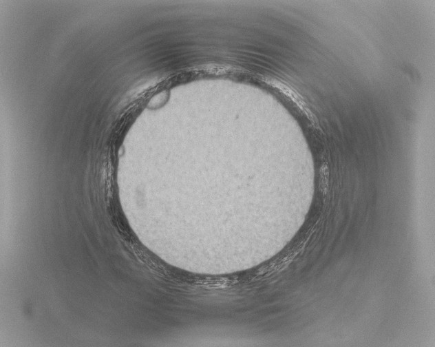 X0000115581111200912221043