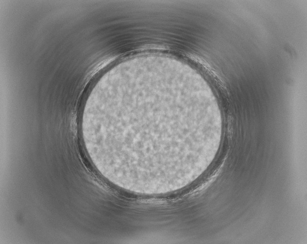 X0000115581113200912221043