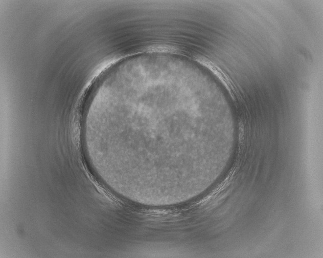 X0000115581115200912221043