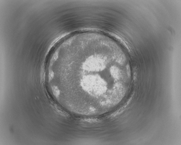 X0000115581117200912221043