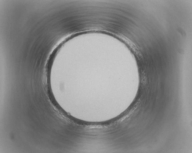 X0000115581118200912221043