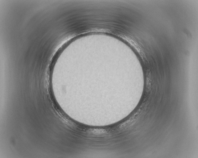 X0000115581119200912221043