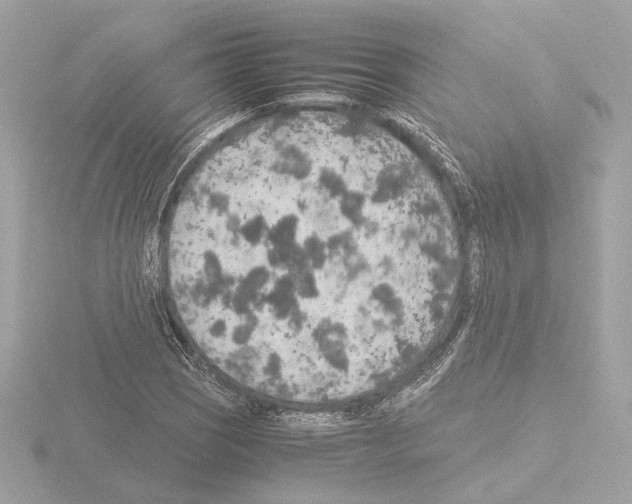 X0000115581121200912221043