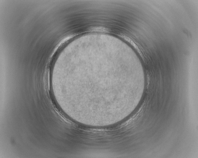 X0000115581123200912221043