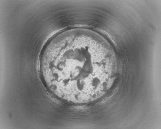 X0000115581125200912221043