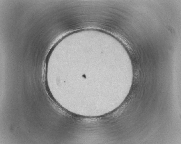 X0000115581126200912221043