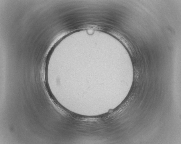 X0000115581131200912221044