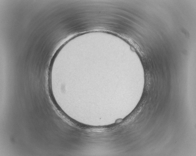 X0000115581134200912221044