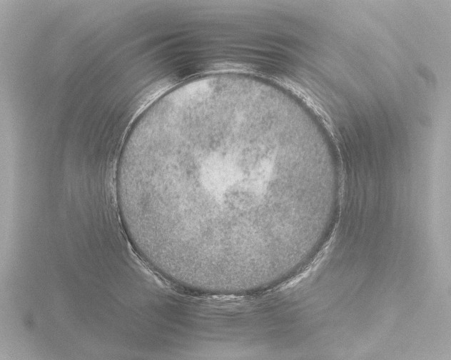 X0000115581137200912221044