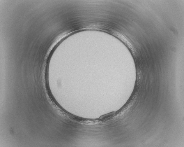 X0000115581138200912221044