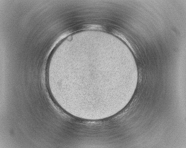 X0000115581139200912221044