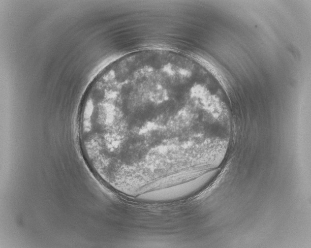 X0000115581141200912221044