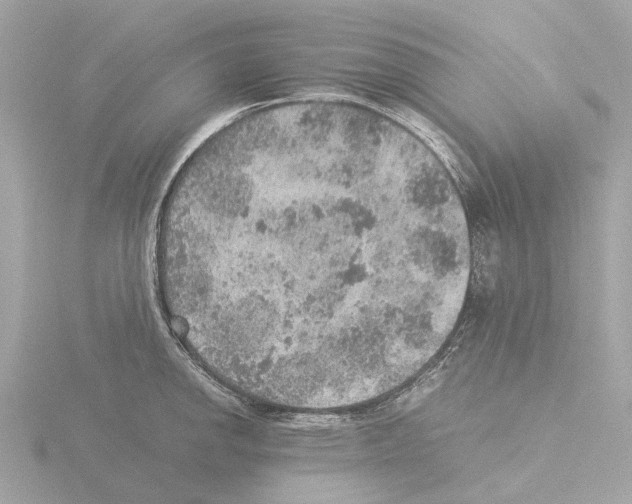 X0000115581142200912221044