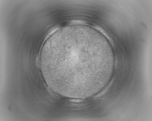 X0000115581145200912221044