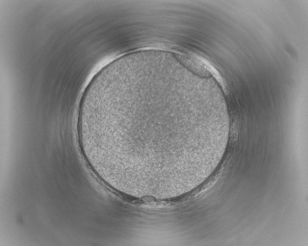 X0000115581146200912221044