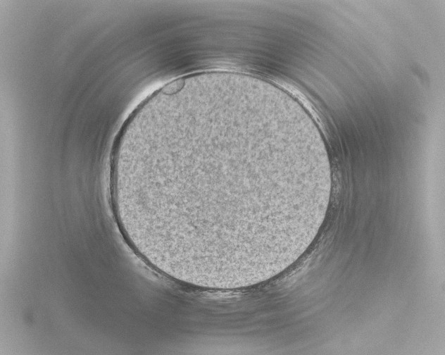 X0000115581147200912221044