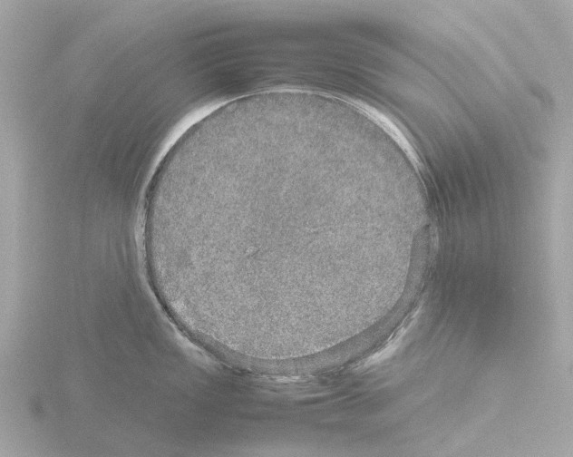 X0000115581149200912221044