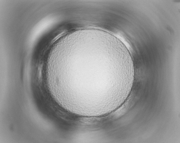 X0000115581150200912221044