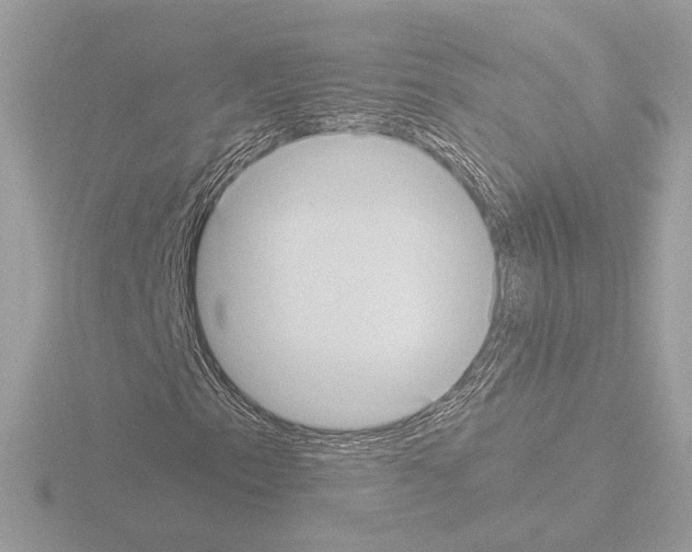 X0000115581153200912221043