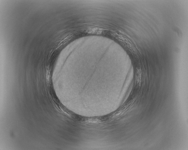 X0000115581154200912221043