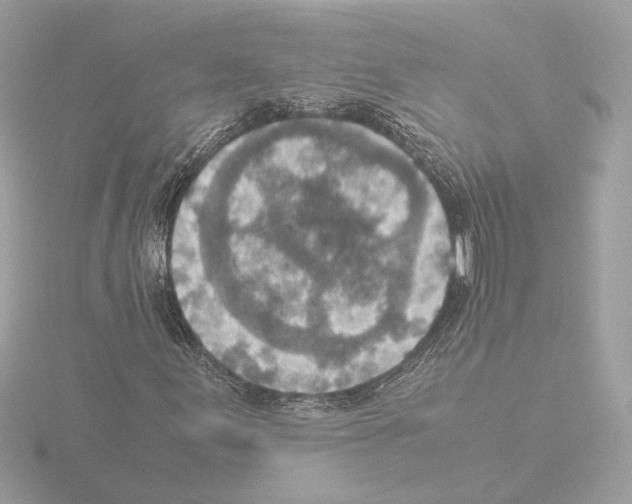 X0000115581155200912221043