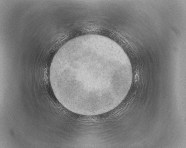 X0000115581156200912221043