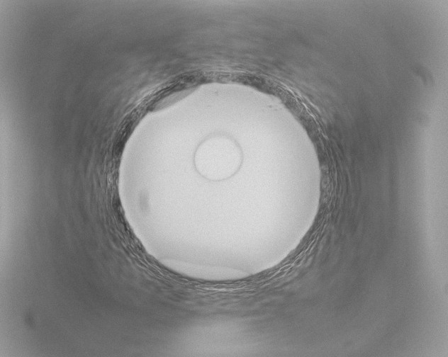 X0000115581157200912221043