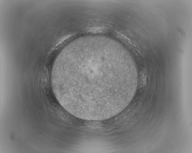 X0000115581158200912221043