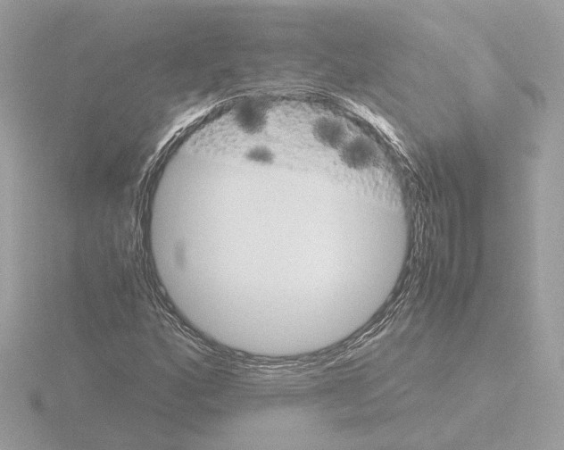 X0000115581160200912221043