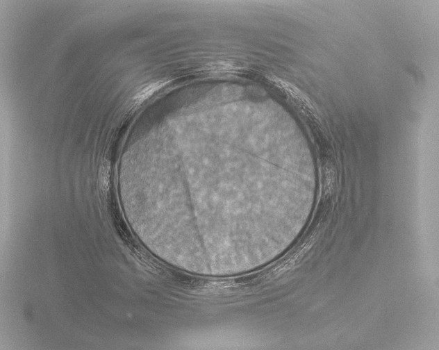 X0000115581161200912221043