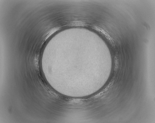 X0000115581162200912221043