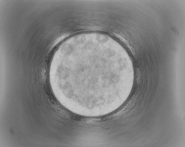 X0000115581163200912221043