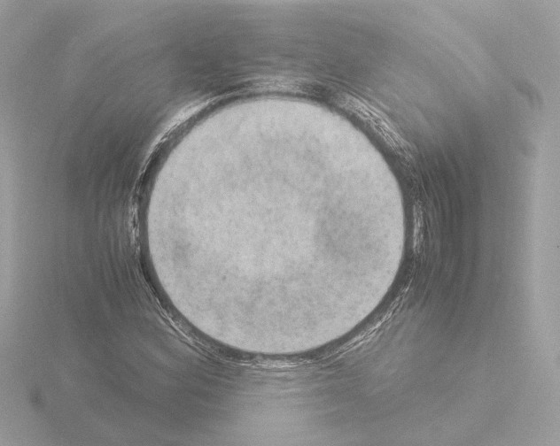 X0000115581164200912221043