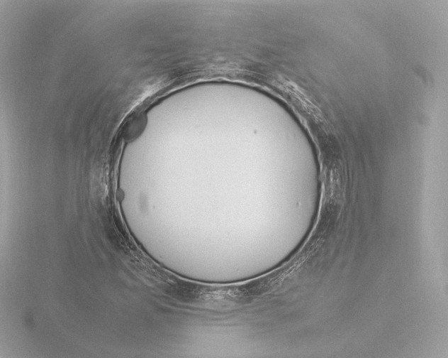 X0000115581165200912221043