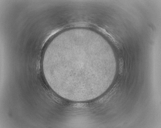 X0000115581166200912221043