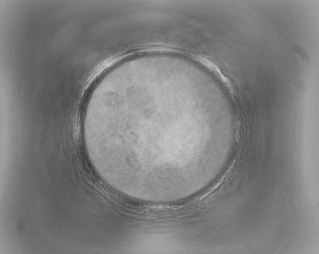 X0000115581167200912221043