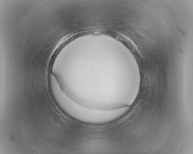 X0000115581168200912221043