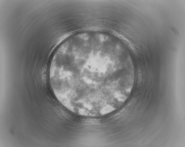 X0000115581170200912221043