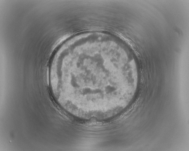 X0000115581171200912221043