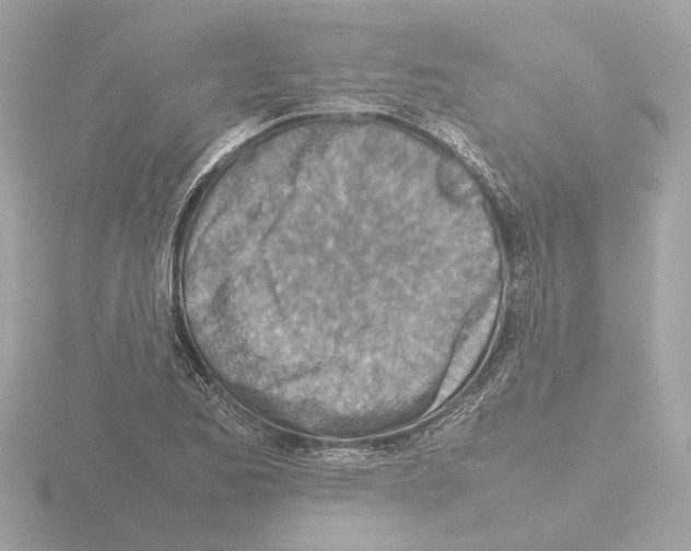 X0000115581173200912221043