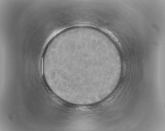 X0000115581175200912221043