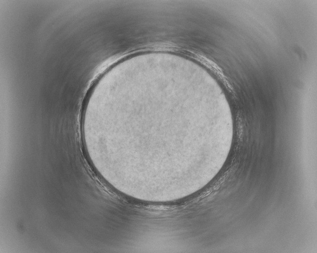 X0000115581176200912221043