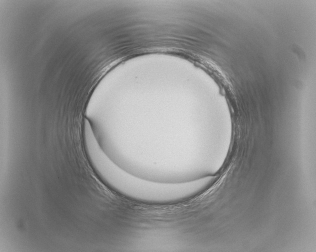 X0000115581177200912221043