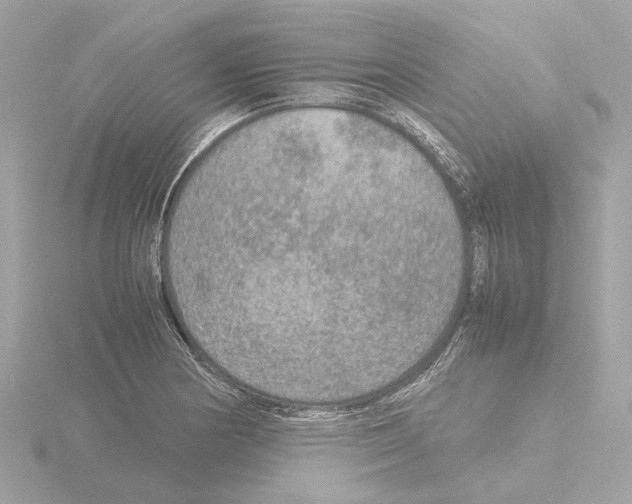 X0000115581178200912221043