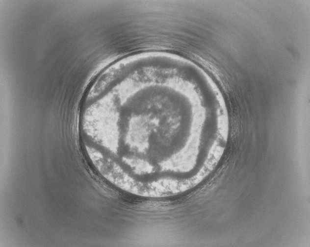 X0000115581179200912221043