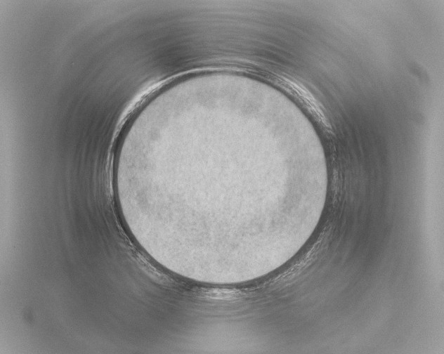 X0000115581180200912221043