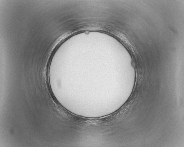 X0000115581181200912221043