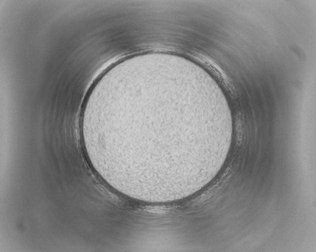 X0000115581182200912221043